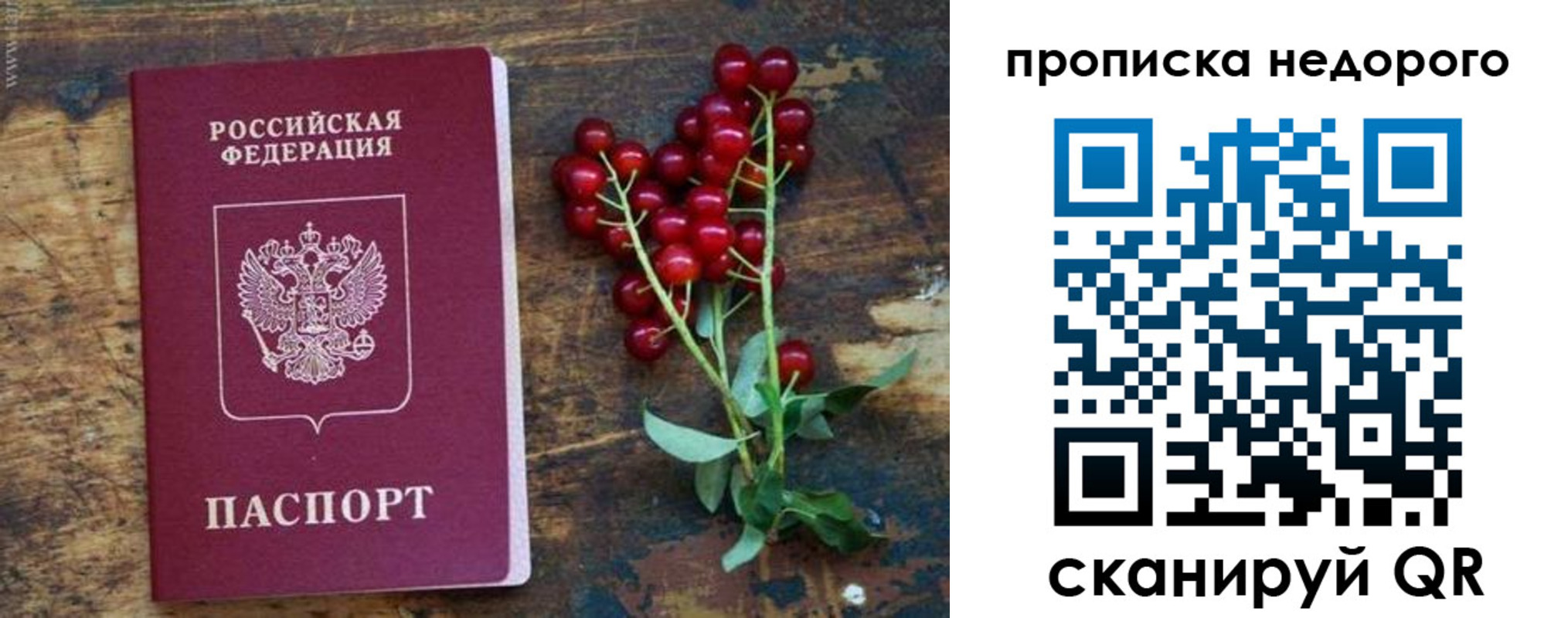 прописка в квартире в Стародубе